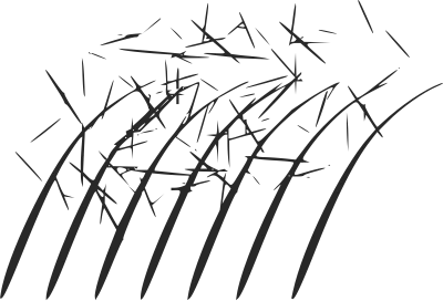 Top 5 Mistakes to Avoid When Using Hair Fibers